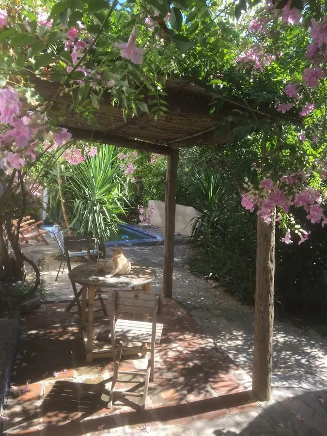 Rincon De Jaramuza Guest House Orgiva Country house